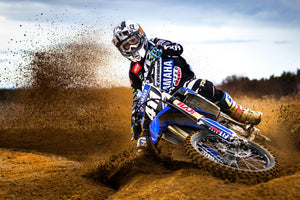 poster-print-desert-king-x
