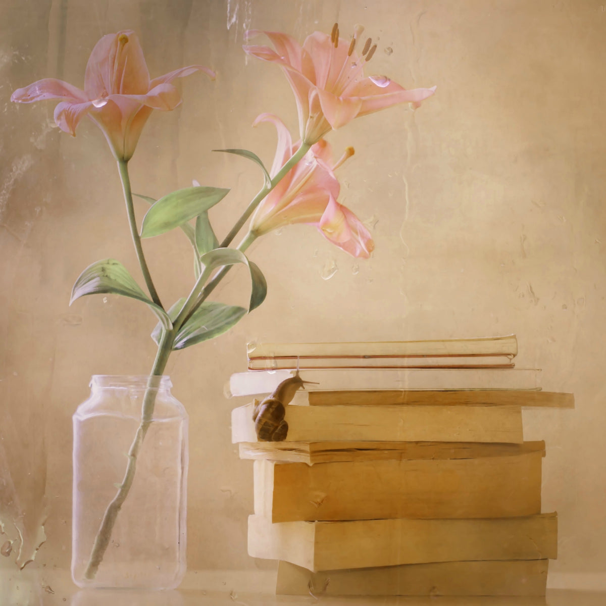 canvas-print-slowly-but-surely