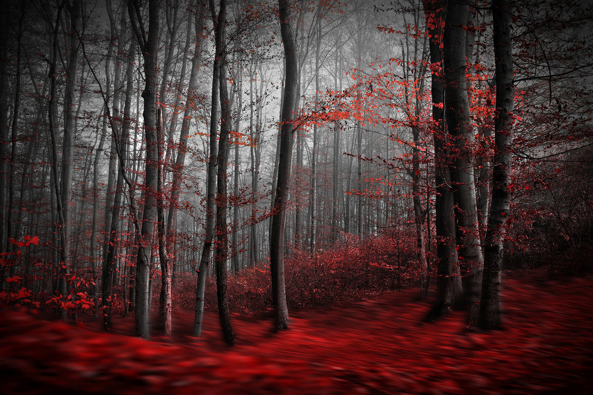 canvas-print-bloody-river-x