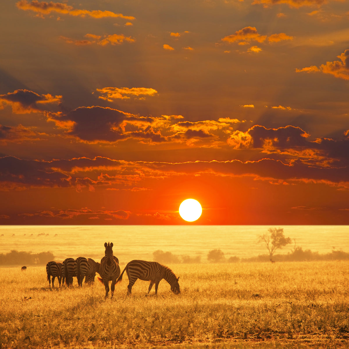 canvas-print-seregenti-national-park