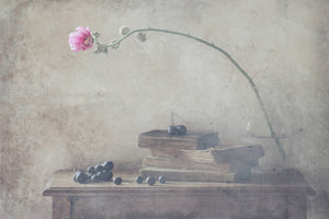 framedposter-print-mild-morning-of-october-x
