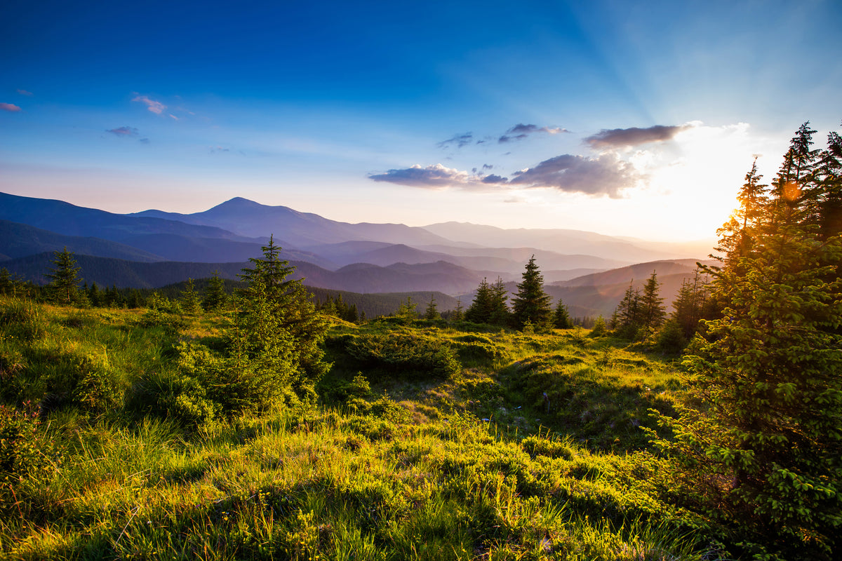 modern-3-piece-aluminium-print-peaceful-landscape