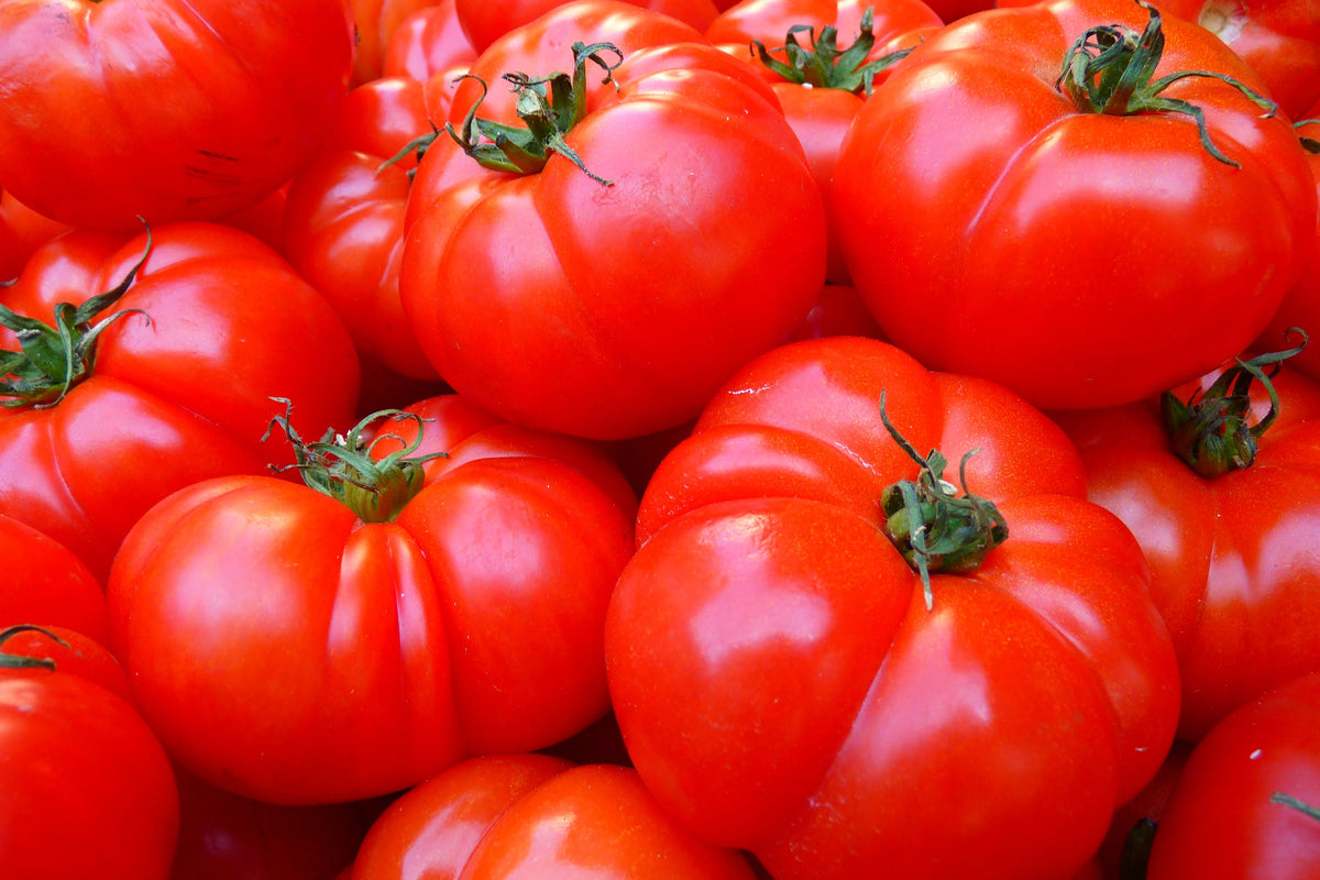 acrylic-print-fresh-tomatoes