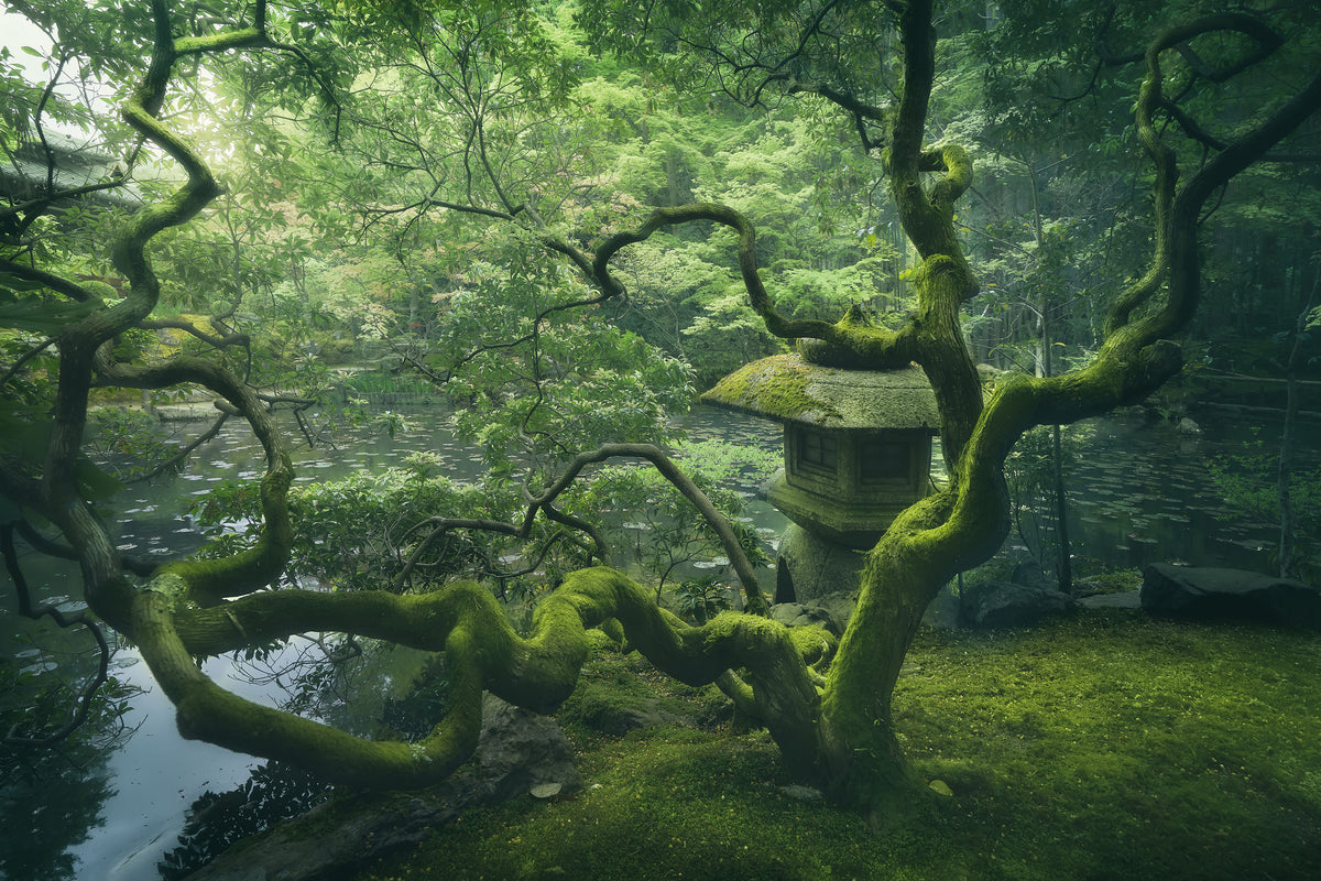poster-print-japanese-tree-x