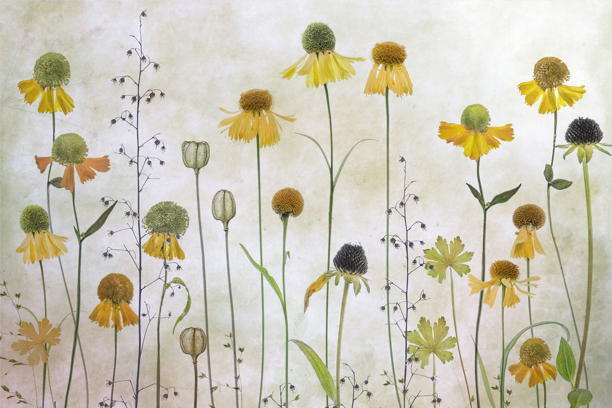 modern-3-piece-aluminium-print-helenium