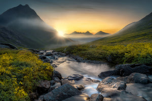 canvas-print-dreaming-x