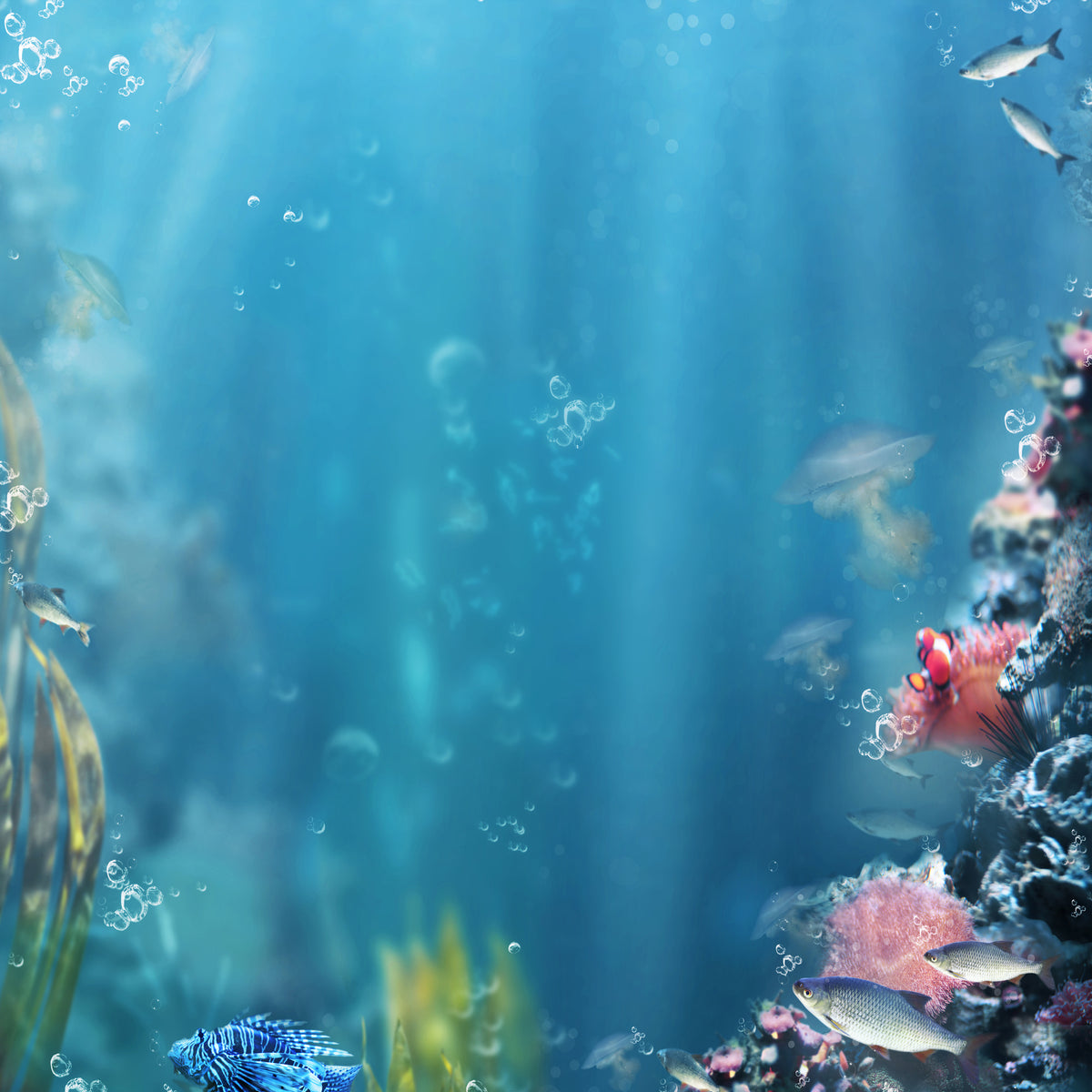 acrylic-print-underwater