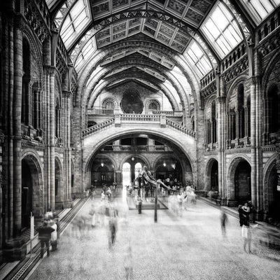poster-print-natural-history-museum-of-london-x