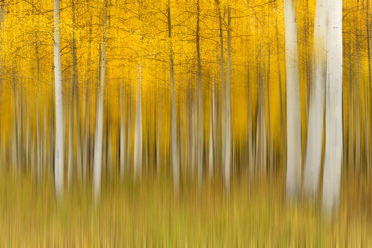 poster-print-autumn-dream-ii