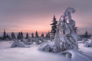framedcanvas-print-lappland-winterwonderland-x