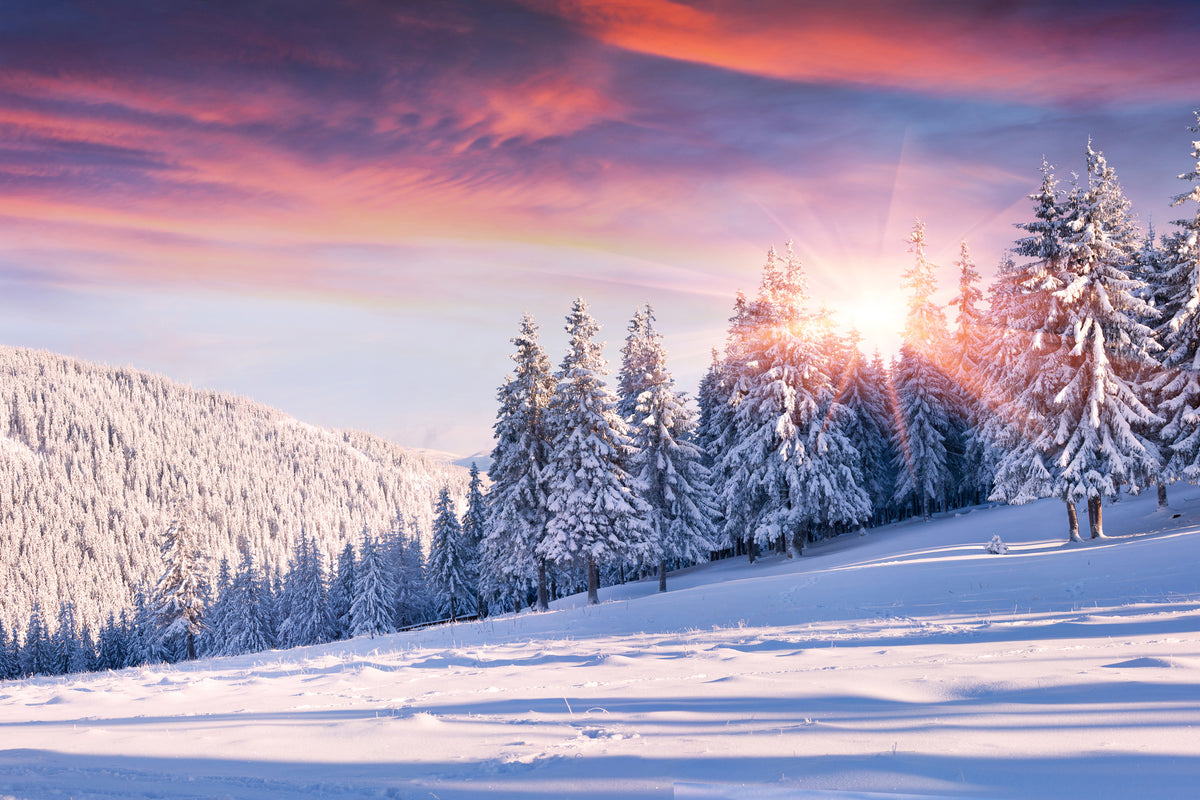 canvas-print-winter-landscape