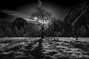 poster-print-the-winter-spirit