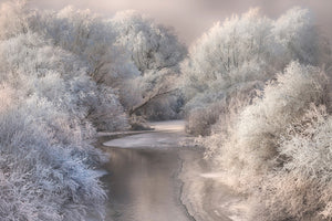 framedposter-print-winter-song-x
