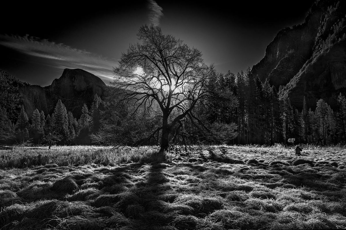 3-piece-acrylic-print-the-winter-spirit