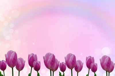 poster-print-sweet-tulips