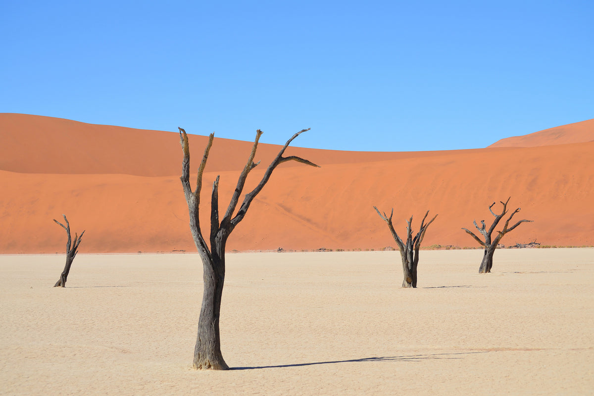 acrylic-print-sossusvlei-namibia