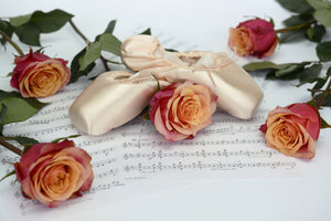 aluminium-print-melody-of-love