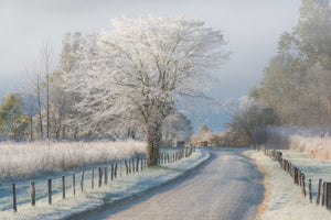 canvas-print-a-frosty-morning