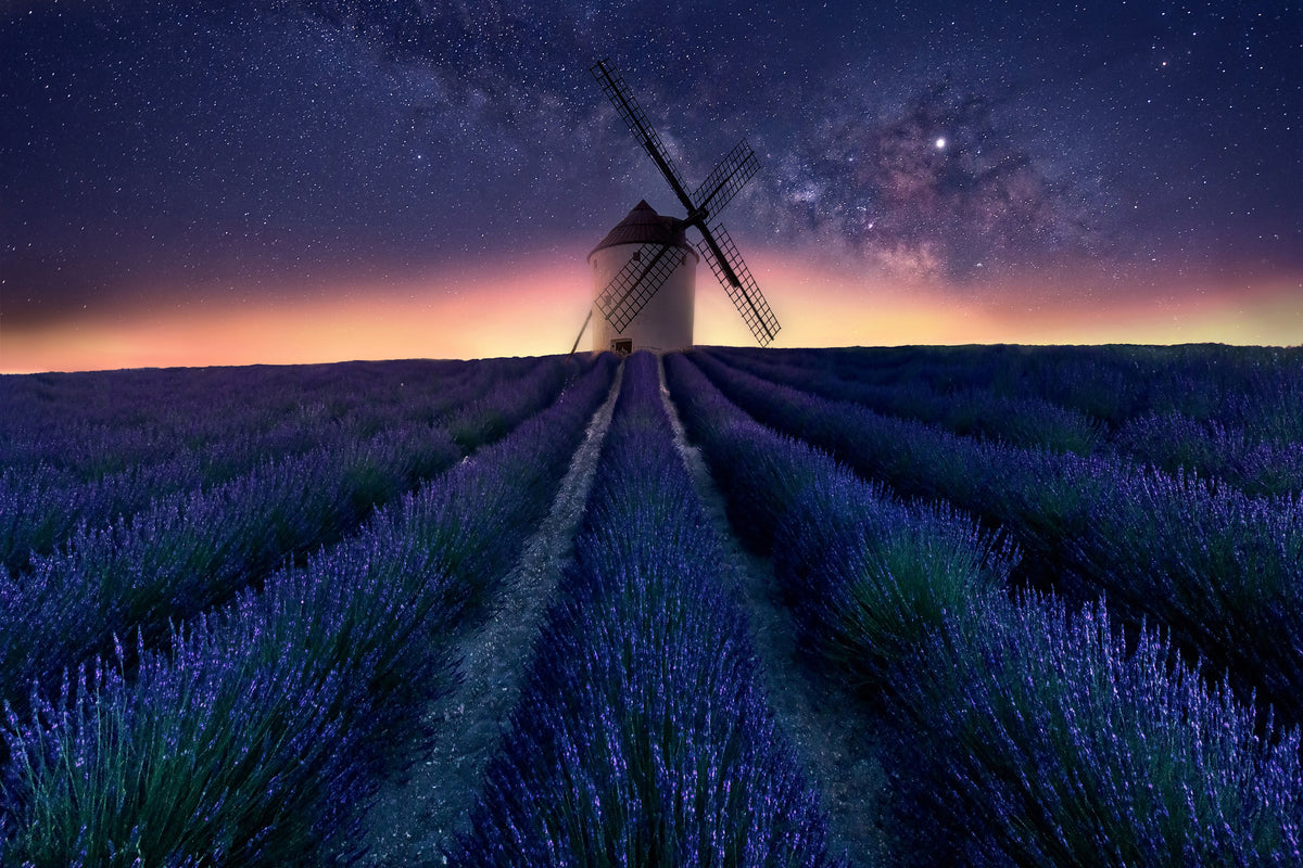 framedposter-print-lavender-night-x