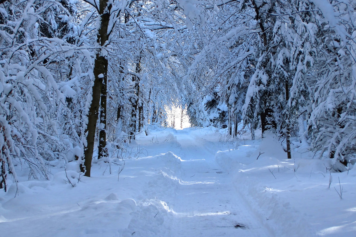3-piece-aluminium-print-finally-winter