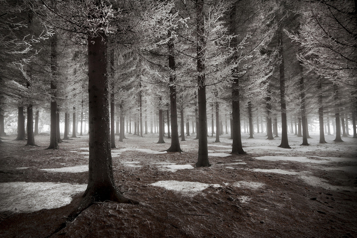 modern-3-piece-aluminium-print-the-onset-of-winter