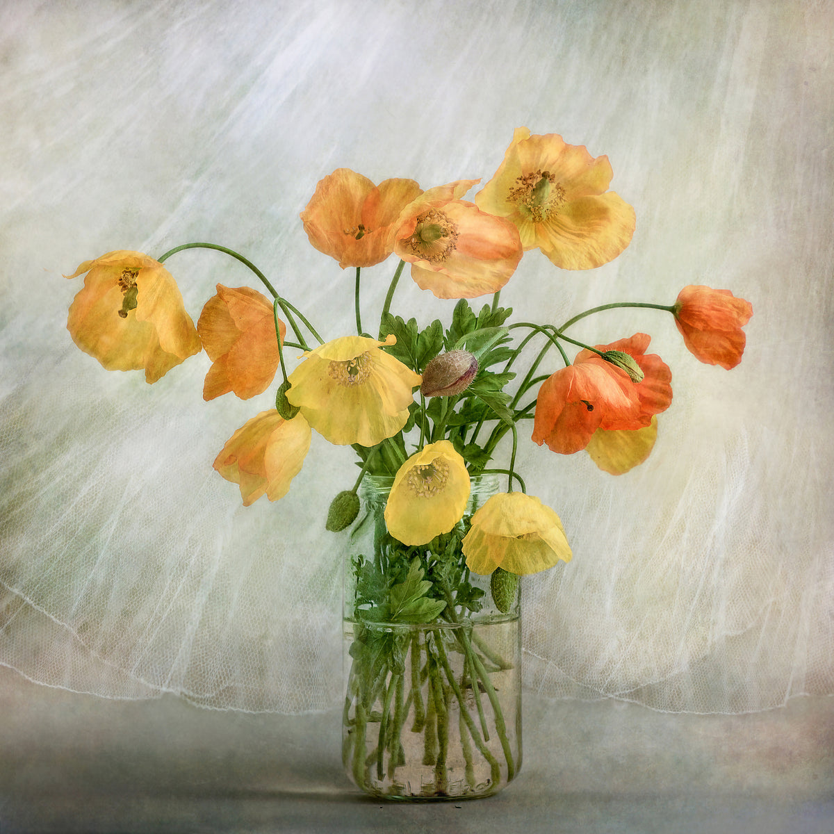 acrylic-print-in-the-window-x