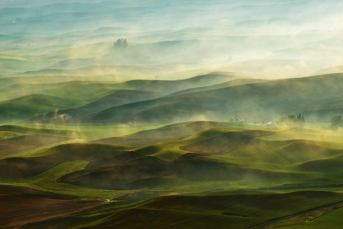 aluminium-print-golden-morningpalouse-x