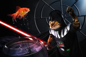 3-piece-aluminium-print-darth-sushi