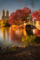 framedcanvas-print-fall-in-central-park-x