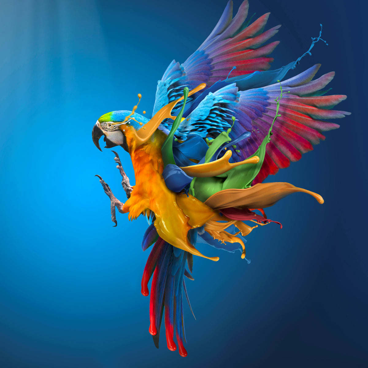 4-piece-acrylic-print-flying-colours
