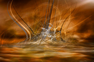 acrylic-print-the-rising-x