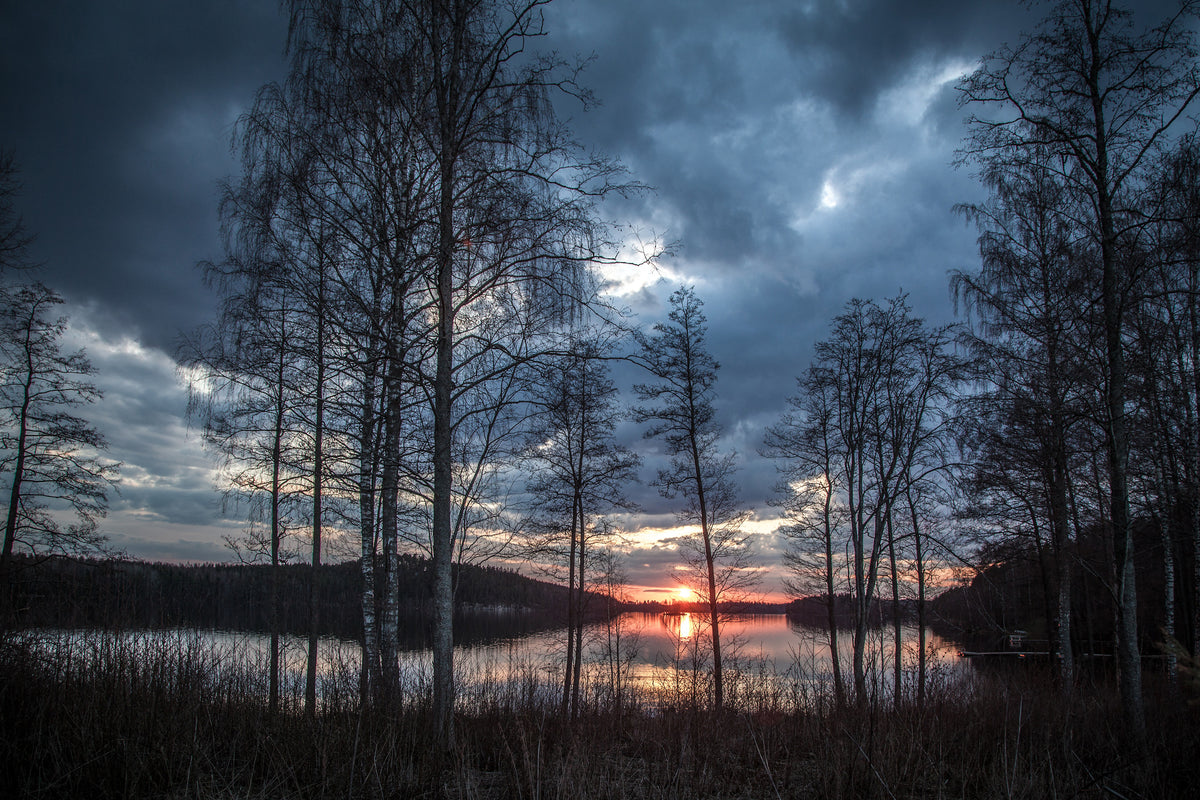 canvas-print-trees-at-the-lake