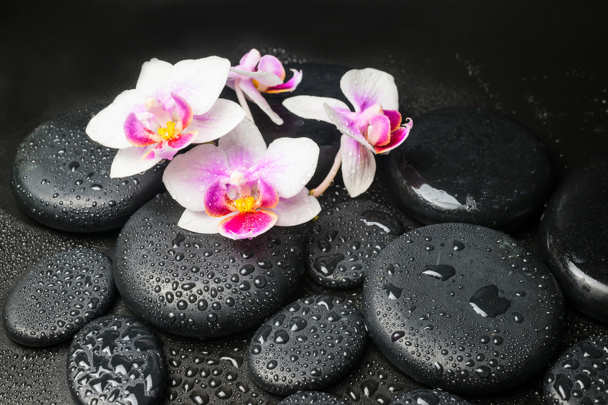 3-piece-acrylic-print-feng-shui-orchid-zen