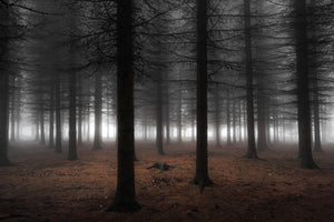 canvas-print-silence-ii