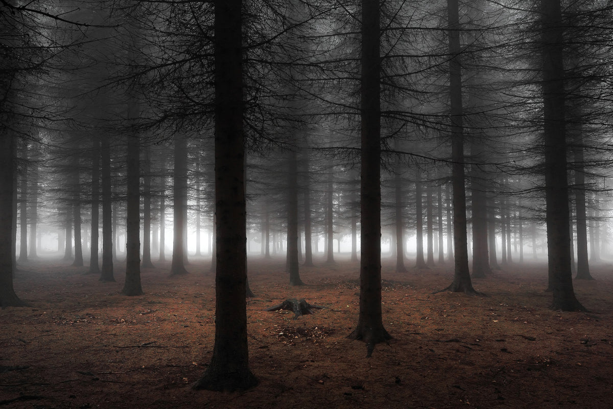 canvas-print-silence-ii
