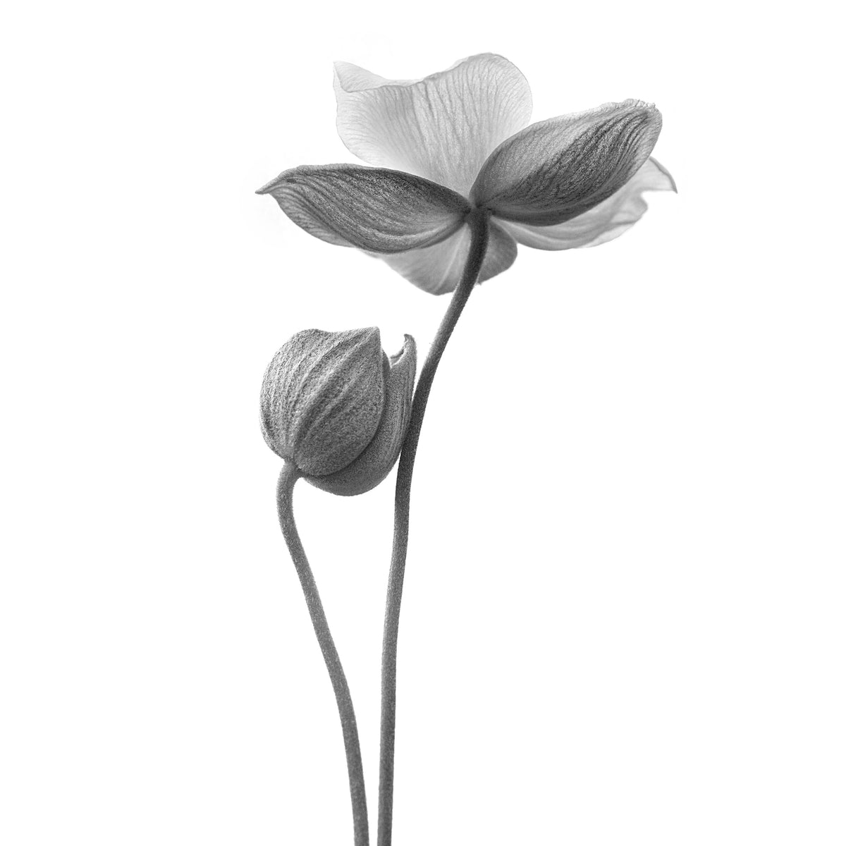 9-piece-acrylic-print-a-little-touch-monochrome