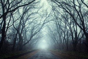 canvas-print-cloud-forest