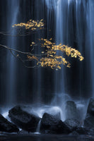 framedposter-print-yellow-autumn