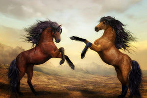 3-piece-acrylic-print-two-wild-horses