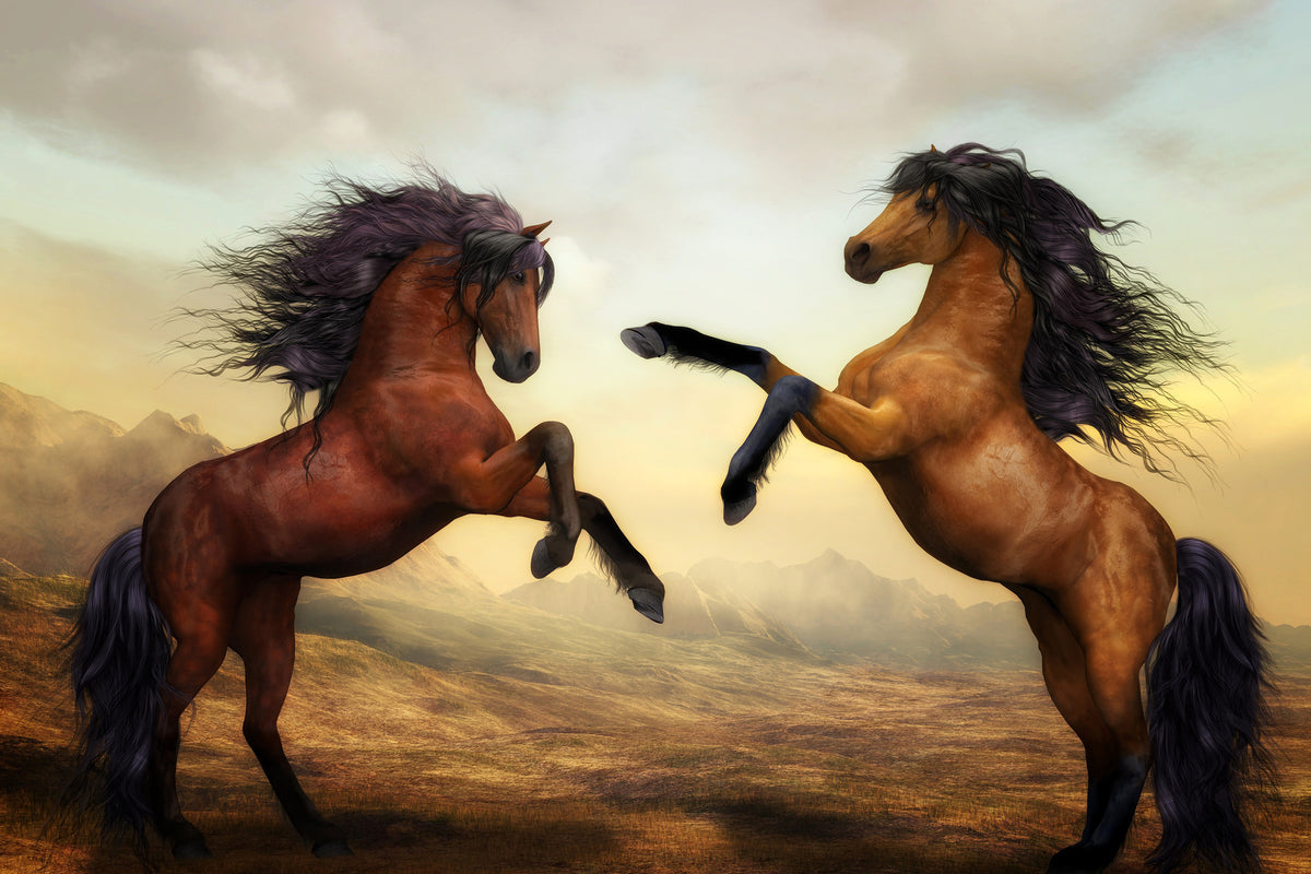 3-piece-acrylic-print-two-wild-horses