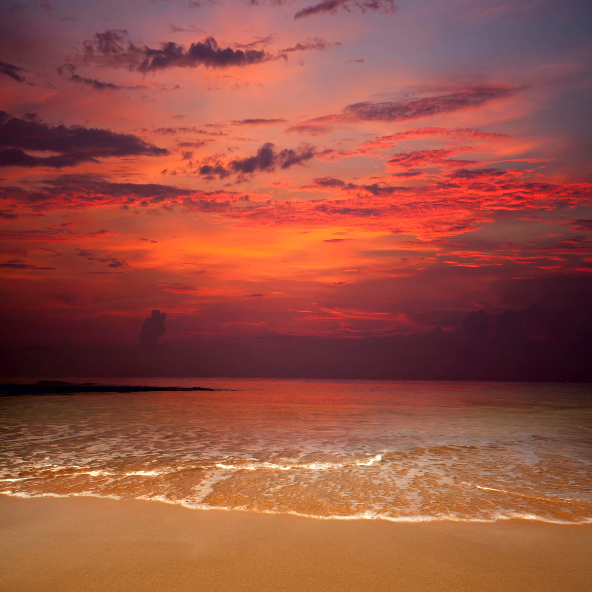 4-piece-acrylic-print-line-on-the-sand