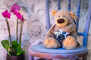 framedposter-print-camera-teddy-bear
