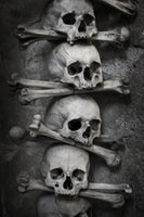 framedposter-print-skulls