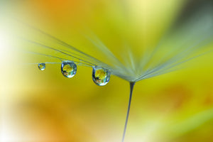 modern-3-piece-aluminium-print-sunbeam-iii