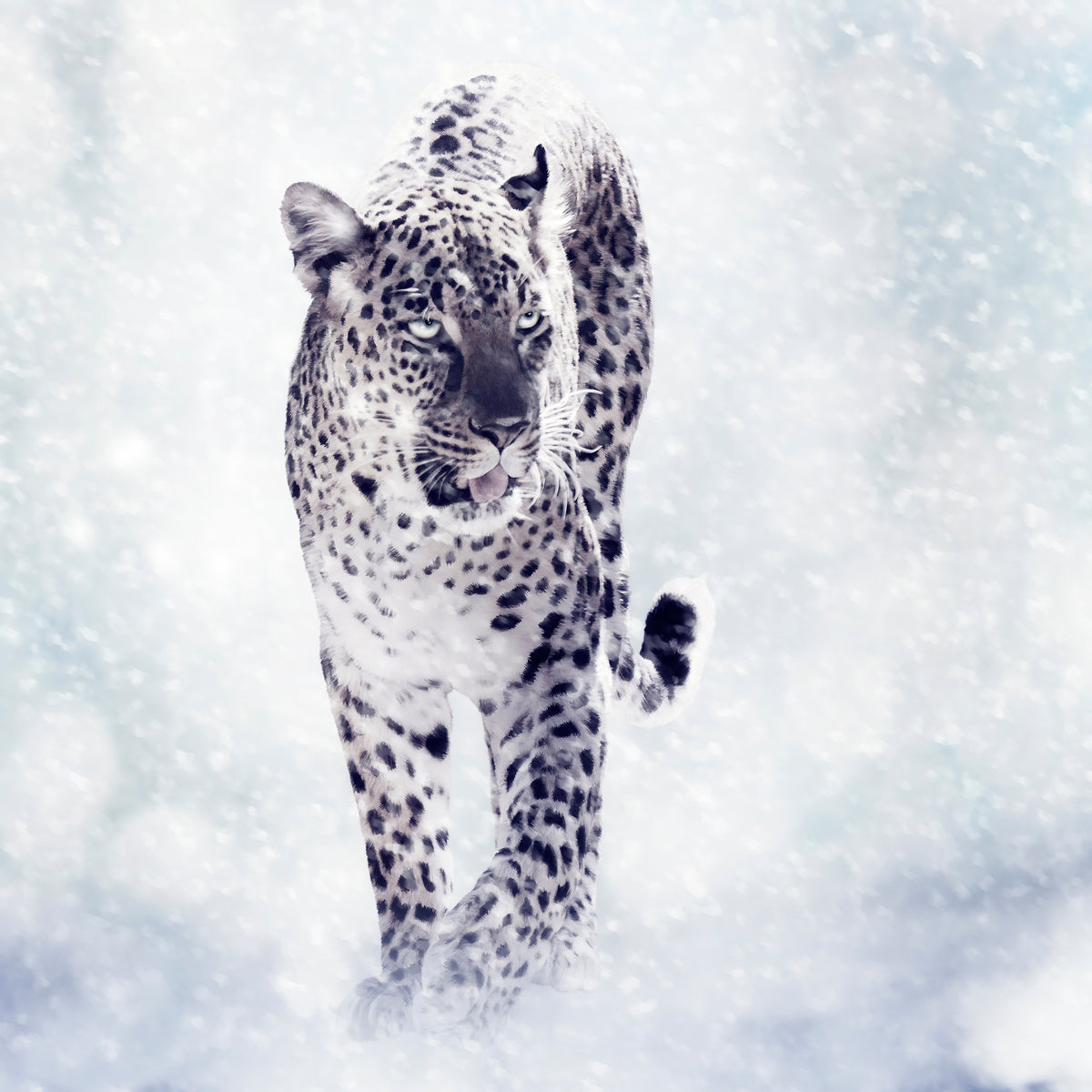 canvas-print-photo-wallaper-the-leopard