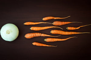 framedposter-print-vegetable-reproduction-x