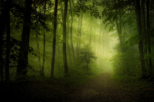 poster-print-spring-secret-x