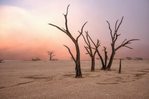 modern-3-piece-acrylic-print-fog-in-deadvlei