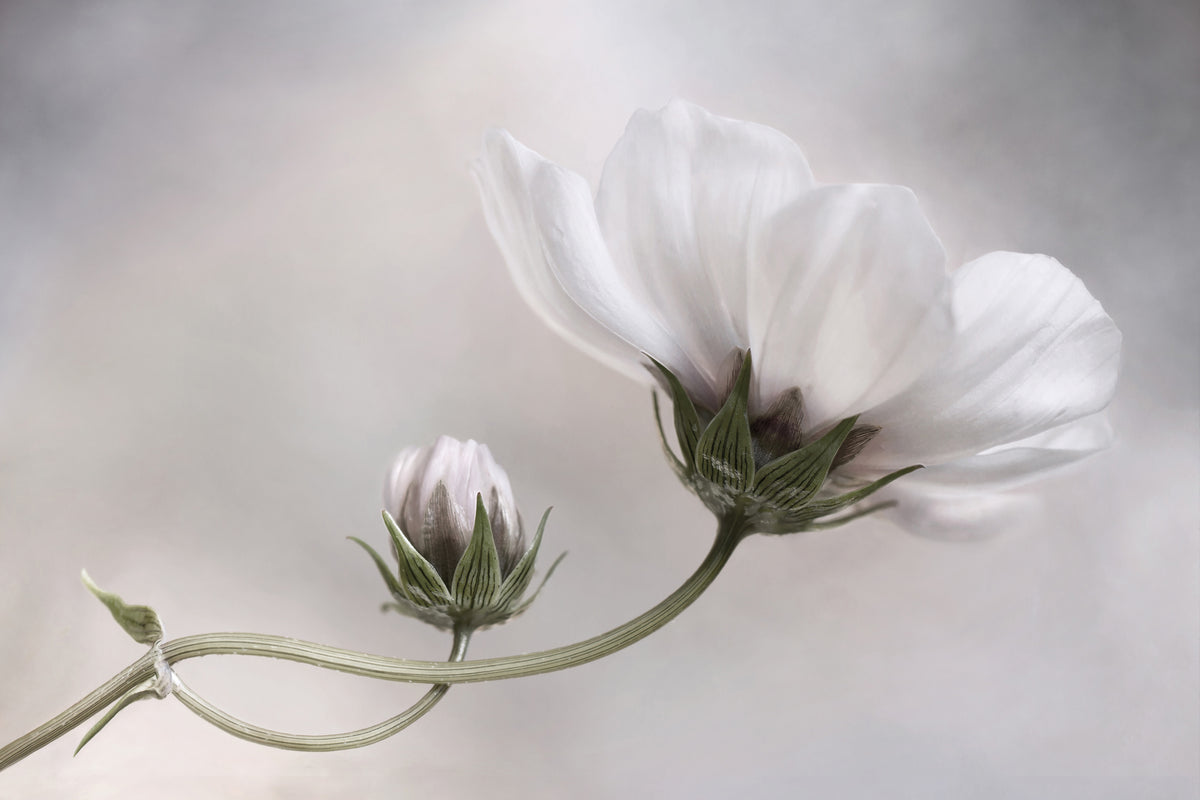 modern-3-piece-canvas-print-simply-cosmos