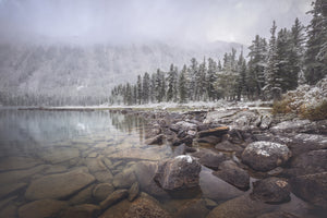framedposter-print-winter